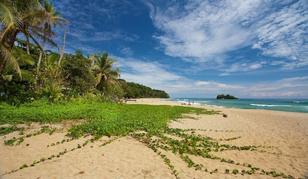 Cocles is the first community south of Puerto Viejo. The beautiful beach is very popular with surfers, especially at the northern end, and also for swimmers.